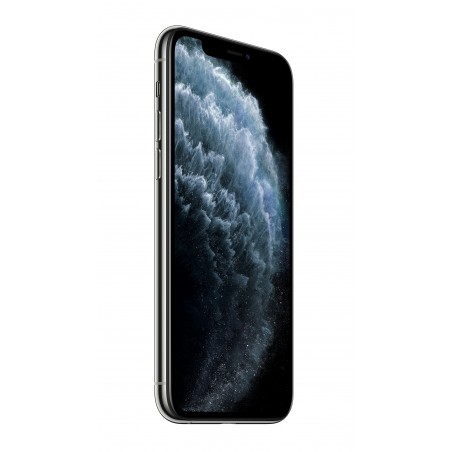 iPhone 11 Pro 256GB SilverProdotto rigenerato grado C