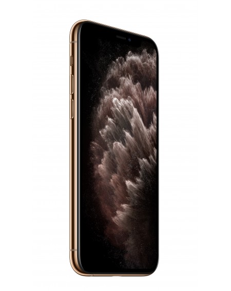 iPhone 11 Pro 256GB GoldProdotto rigenerato grado B