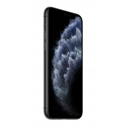 iPhone 11 Pro 256GB Space Grey - Prodotto rigenerato di grado B