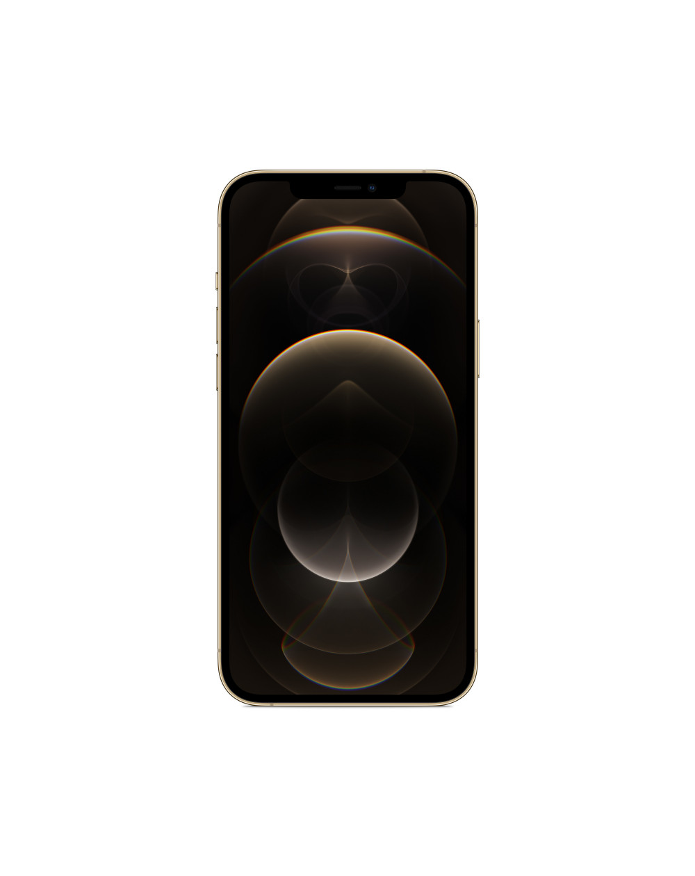 iPhone 12 Pro Max 256GB Gold - Prodotto rigenerato di grado A iPhone 12 Pro Max 256GB Gold - Prodotto rigenerato di grado A