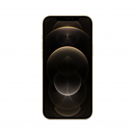 iPhone 12 Pro Max 256GB Gold - Prodotto rigenerato di grado A