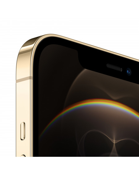 iPhone 12 Pro Max 256GB Gold - Prodotto rigenerato di grado A