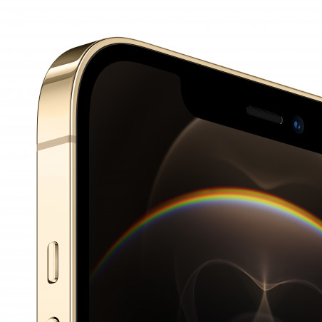 iPhone 12 Pro Max 256GB Gold - Prodotto rigenerato di grado A