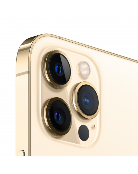 iPhone 12 Pro Max 256GB Gold - Prodotto rigenerato di grado A