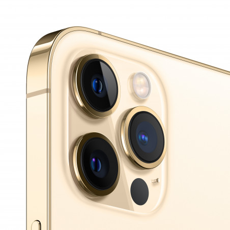 iPhone 12 Pro Max 256GB Gold - Prodotto rigenerato di grado A
