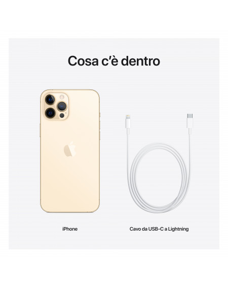 iPhone 12 Pro Max 256GB Gold - Prodotto rigenerato di grado A