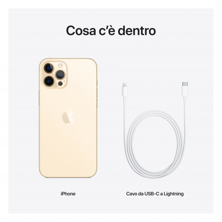 iPhone 12 Pro Max 256GB Gold - Prodotto rigenerato di grado A