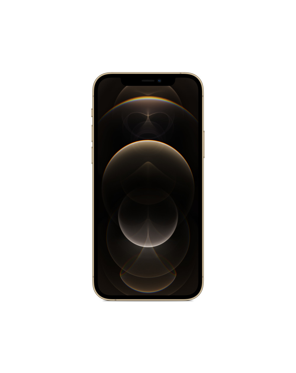 iPhone 12 Pro 256GB Gold - Prodotto rigenerato di grado B iPhone 12 Pro 256GB Gold - Prodotto rigenerato di grado B