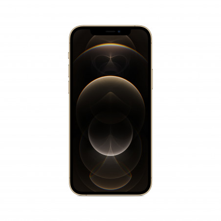 iPhone 12 Pro 256GB Gold - Prodotto rigenerato di grado B