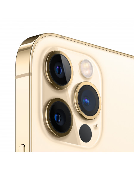 iPhone 12 Pro 256GB Gold - Prodotto rigenerato di grado B