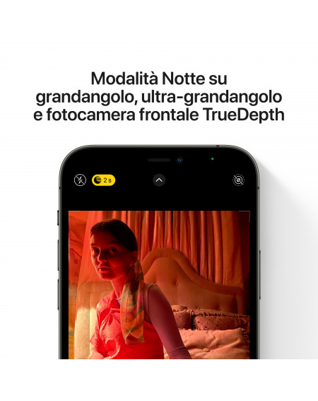 iPhone 12 Pro Max 512GB Graphite - Prodotto rigenerato di grado A
