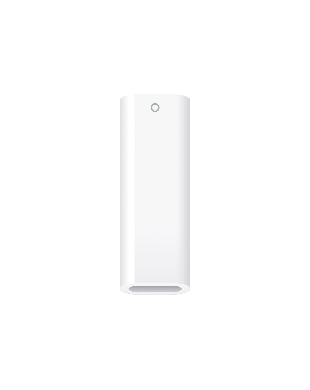 Adattatore da USB-C a Apple Pencil Adattatore da USB-C a Apple Pencil