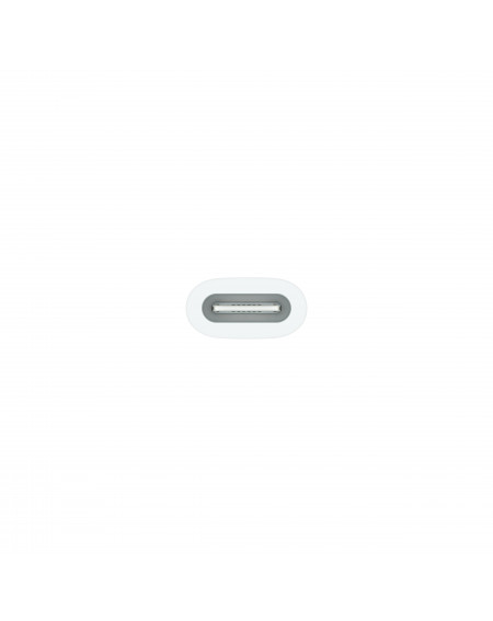 Adattatore da USB-C a Apple Pencil