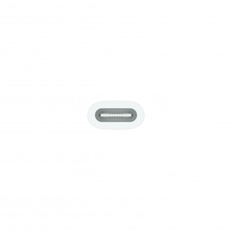 Adattatore da USB-C a Apple Pencil