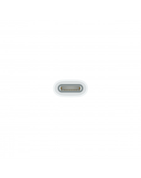 Adattatore da USB-C a Apple Pencil