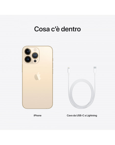 iPhone 13 Pro 256GB Oro - Prodotto rigenerato grado A