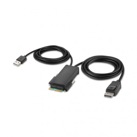 2-PORT SINGLE HEAD DP KVM SWITCH PP4.0 W REMOTE