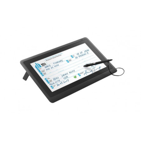 DTK1660E - 15.6" PROFESSIONAL INTERACTIVE DISPLAY