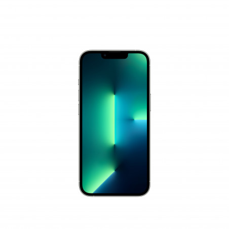 iPhone 13 Pro 256GB Argento - Prodotto rigenerato grado A