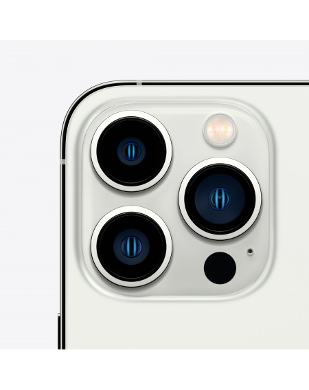 iPhone 13 Pro 256GB Argento - Prodotto rigenerato grado A