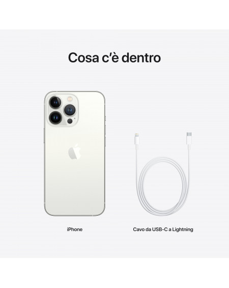 iPhone 13 Pro 256GB Argento - Prodotto rigenerato grado A