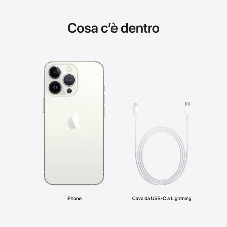 iPhone 13 Pro 256GB Argento - Prodotto rigenerato grado A