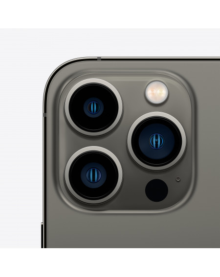 iPhone 13 Pro 1TB Grafite - Prodotto rigenerato grado A