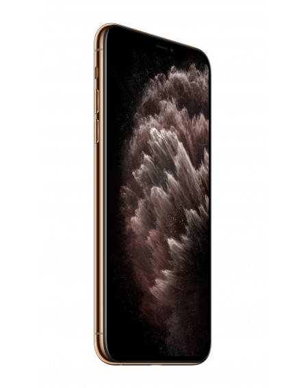 iPhone 11 Pro Max 64GB Gold - Prodotto rigenerato di grado B