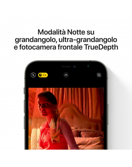 iPhone 12 Pro 256GB Graphite - Prodotto rigenerato di grado C