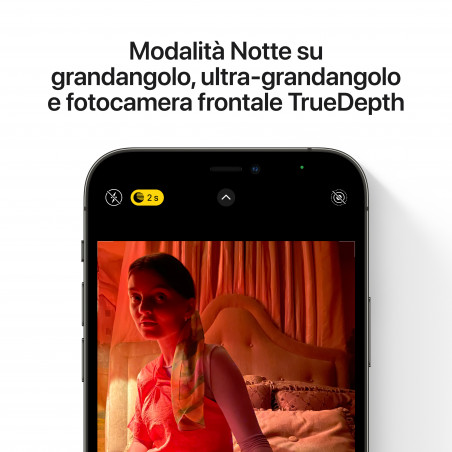 iPhone 12 Pro 256GB Graphite - Prodotto rigenerato di grado C