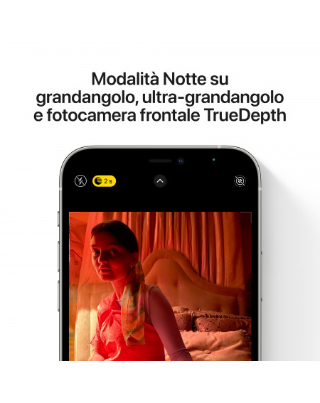 iPhone 12 Pro Max 128GB Silver - Prodotto rigenerato di grado C