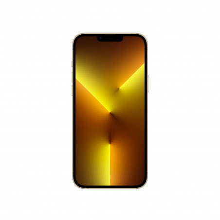iPhone 13 Pro Max 256GB Oro - Prodotto rigenerato grado C