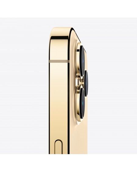 iPhone 13 Pro Max 256GB Oro - Prodotto rigenerato grado C