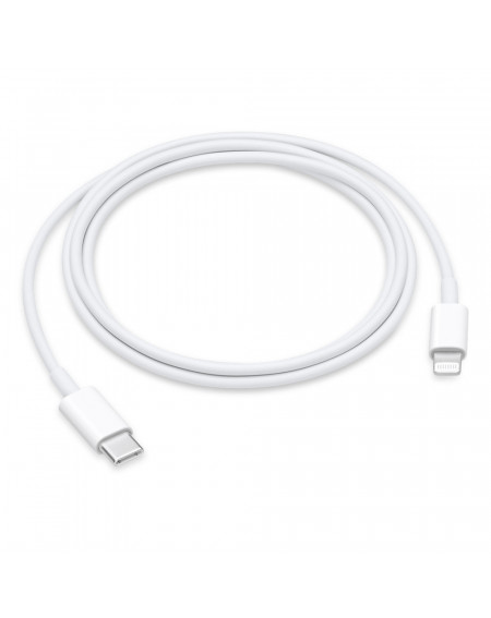 Apple USB-C to Lightning Cable (1m)