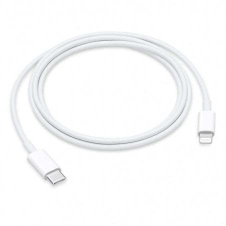 Cavo Apple da USB-C a Lightning (1m)