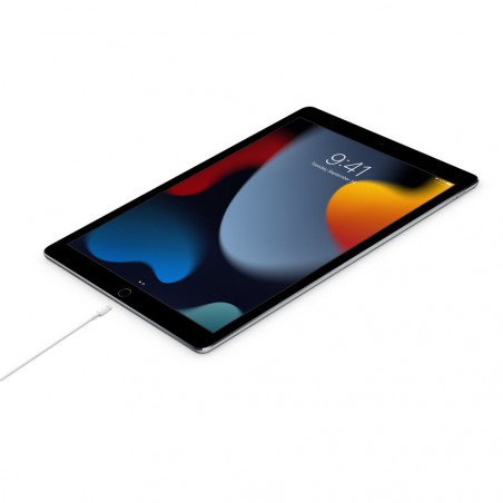 Cavo Apple da USB-C a Lightning (1m)