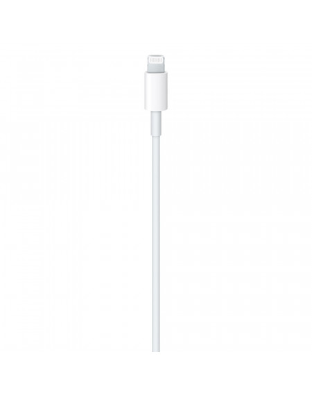 Cavo Apple da USB-C a Lightning (1m)