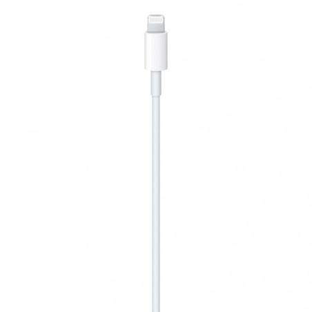 Cavo Apple da USB-C a Lightning (1m)