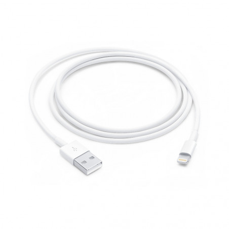 Cavo Lightning Apple USB (1M)