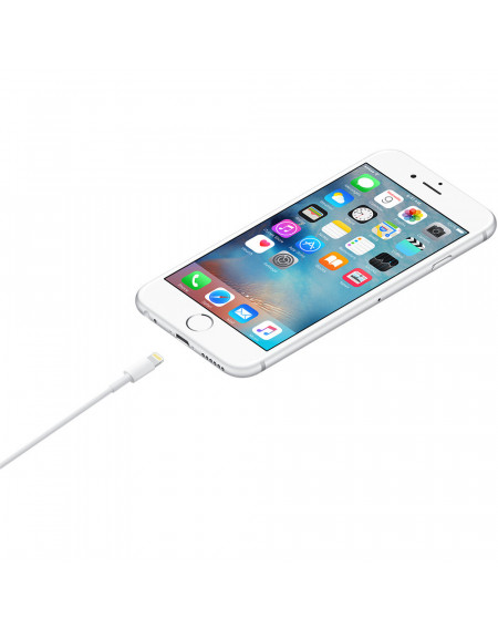 Cavo Lightning Apple USB (1M)