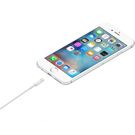 Apple USB Lightning Cable (1M)