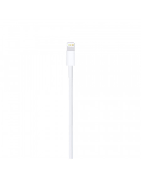 Cavo Lightning Apple USB (1M)