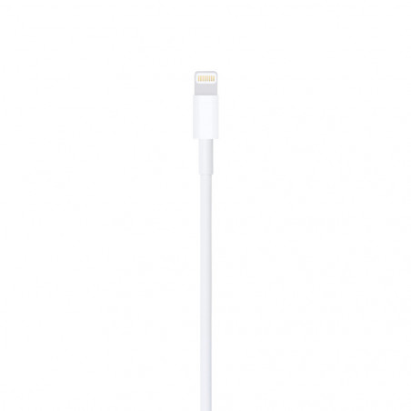 Cavo Lightning Apple USB (1M)