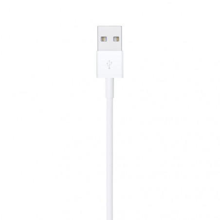 Cavo Lightning Apple USB (1M)