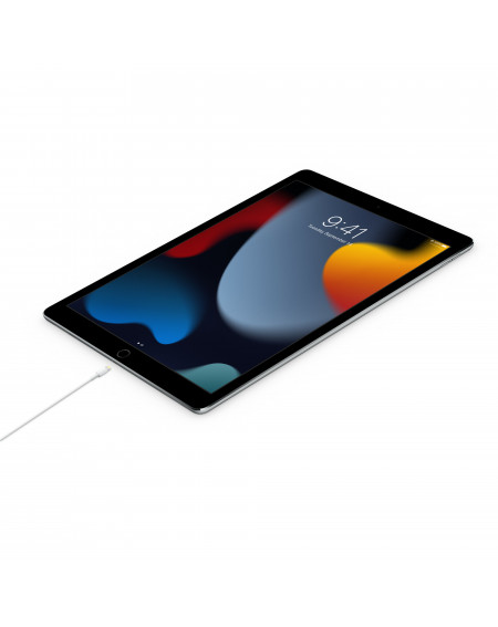 Cavo Apple da USB-C a Lightning (2m)