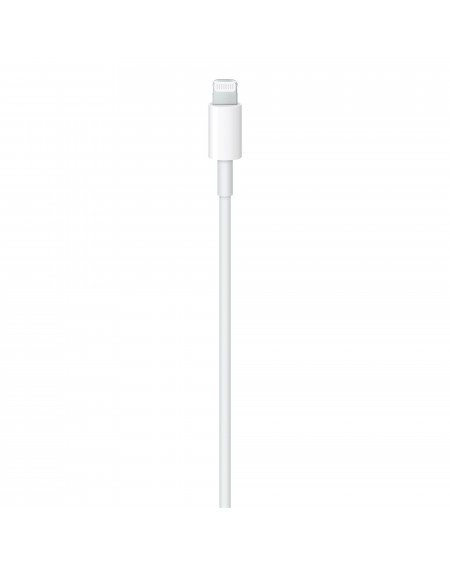 Cavo Apple da USB-C a Lightning (2m)