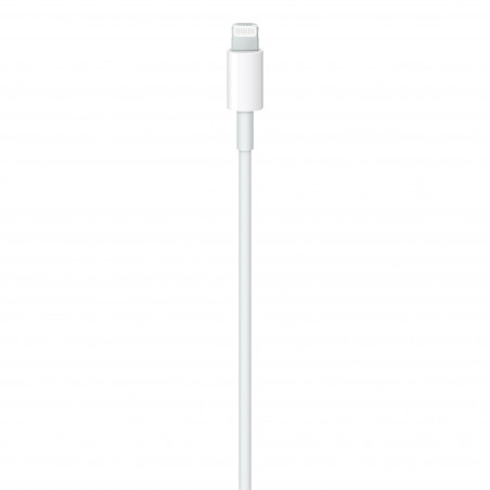 Apple USB-C to Lightning Cable (2m)