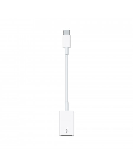 USB-C to USB Adapter