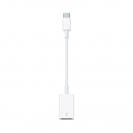 USB-C to USB Adapter