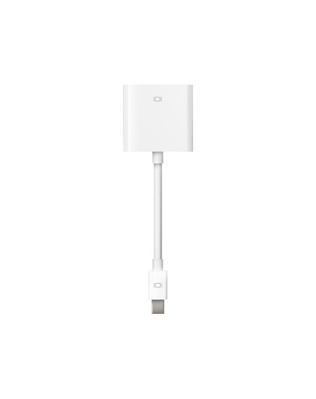 Mini DisplayPort - DVI Adapter - Ex Demo